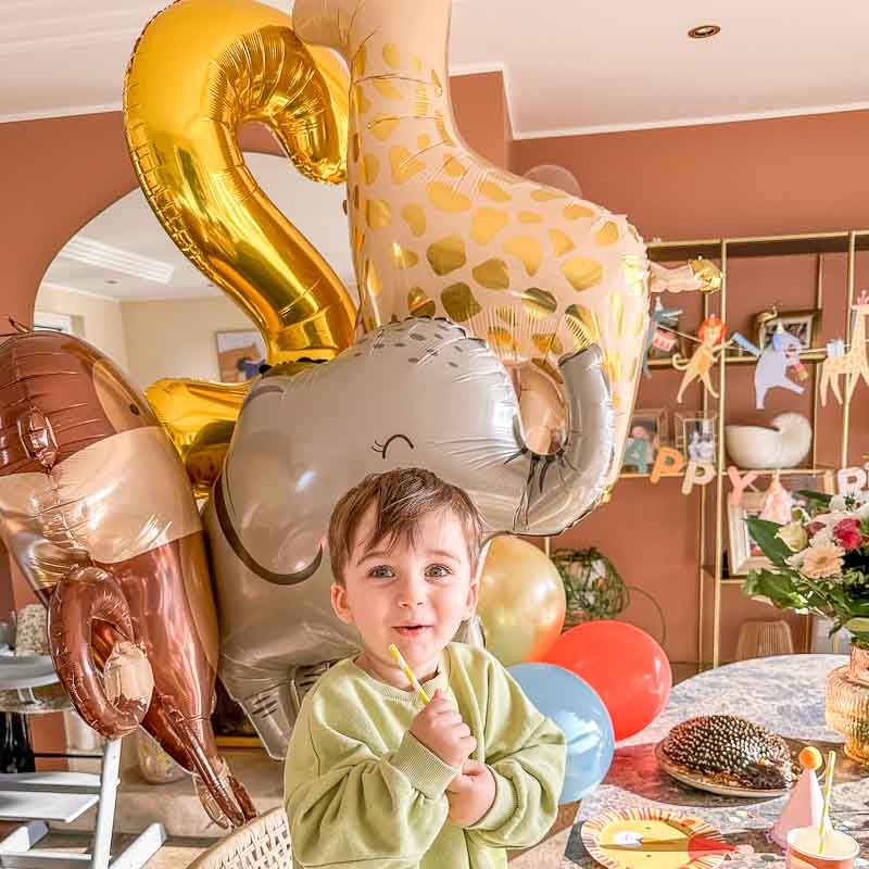 party tiere deko 2. geburtstag