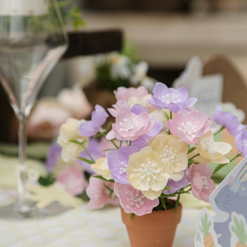Mini Blumen im Topf