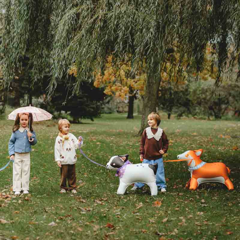 Hunde Folienballon / Corgi