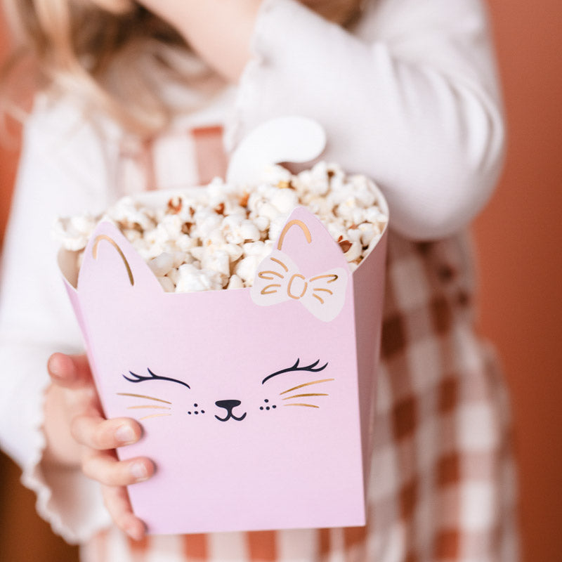 Katzen Popcorn / Snack Boxen 