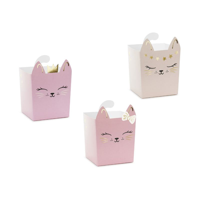 Katzen Popcorn / Snack Boxen 